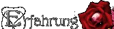 Constanzas Ausbildung und Erfahrung